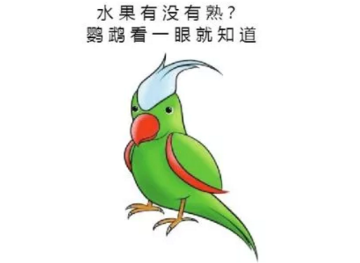 鸚鵡